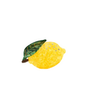 LEMON Hair Claw midi
